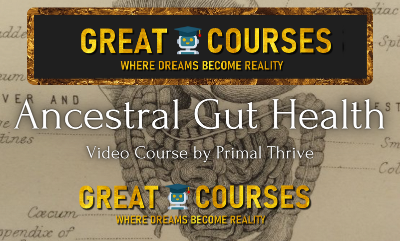 Ancestral Gut Health 2.0 Mentor Version + Metabolic Fire Gut Health Version By PrimalThrive - Free Download Courses & PDFs Primal Thrive Ancestral Gut Health 2.0 Mentor Version + Metabolic Fire Gut Health Version By PrimalThrive - Free Download Courses & PDFs Primal Thrive