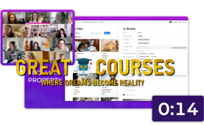 Notion Training For Teams/Business By Marie Poulin - Free Download Course