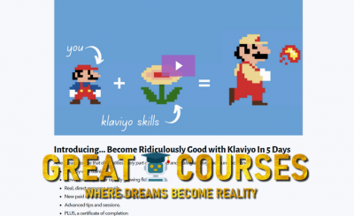 Become Ridiculously Good With Klaviyo In 5 Days By Robert Allen - Free Download Course