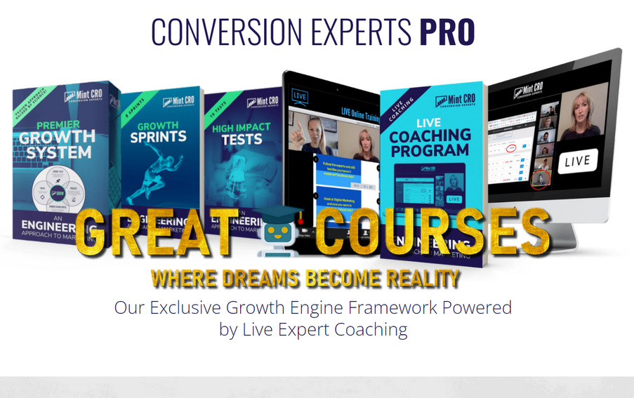 Conversion Experts PRO By Mint CRO Conversion Experts PRO By Mint CRO