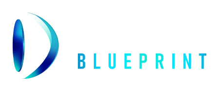 Drop Servicing Blueprint Partner Program By Dylan Sigley - Free Download