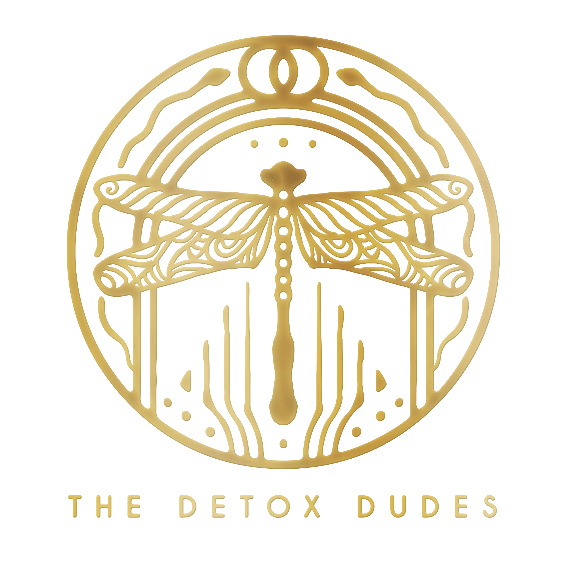 Transformational Detoxification Masterclass By Detox Dudes – Free Download