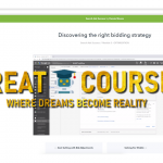 Search Ads Success By Store Growers - Dennis Moons - Free Download Google Ads Courses