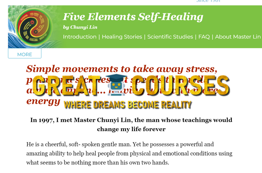 Spring Forest Qigong Five Elements Self-Healing Deluxe Course - Free Download By Master Chunyi Lin - Learning Strategies