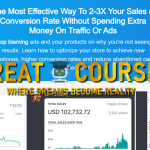 The Store Optimization Blueprint Course By Michael Vilceanu - Free Download Ecommerce Store