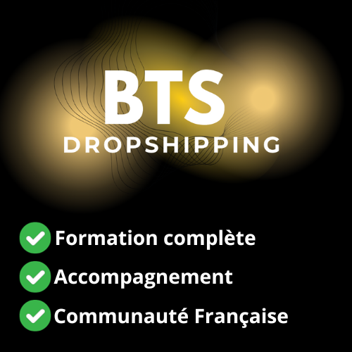 Formation BTS Dropshipping De Adam Bourbia - Télécharger Gratuitement
