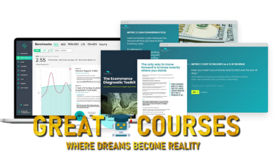 The Ecommerce Diagnostic Toolkit By Common Thread Collective - Free Download CTC