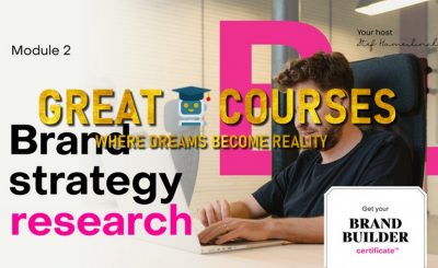 Brand Strategy Research By Stef Hamerlinck - Free Download Course - Module 2