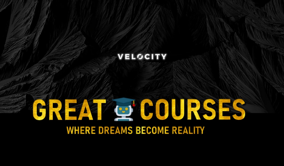 Velocity Ecommerce Mentorship Program $2.5K By Tony Matusiak - Toozer - Free Download Course