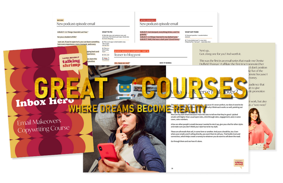 Inbox Hero By Laura Belgray - Free Download Course + Story Hero - The Talking Shrimp Bundle