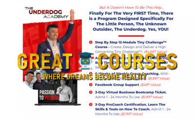 The Underdoge Academy - The Tiny Challenge By Richmond Dinh - Free Download Course