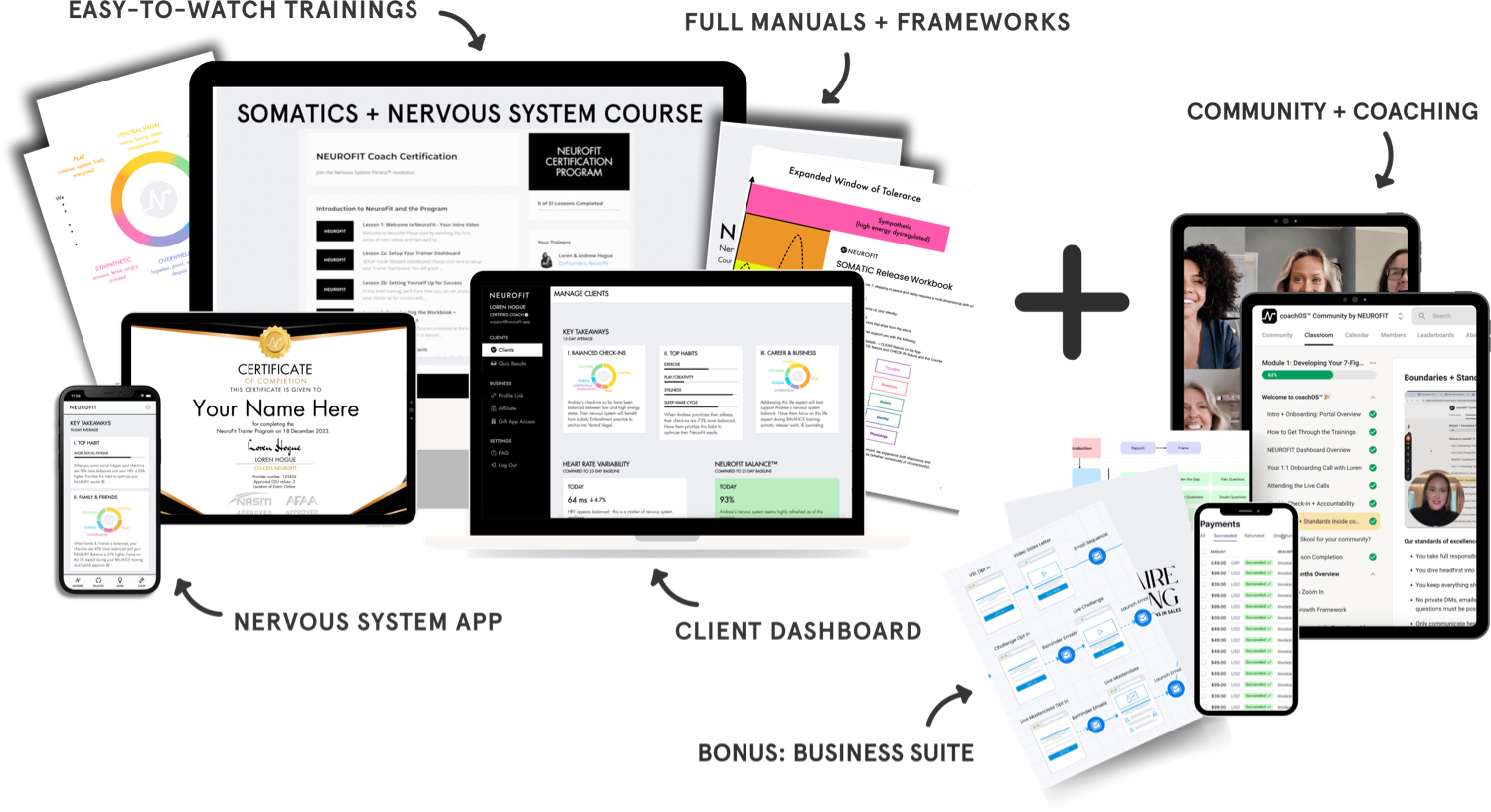 Somatics + Nervous System Coach Certification Course - Neurofit - Free Download