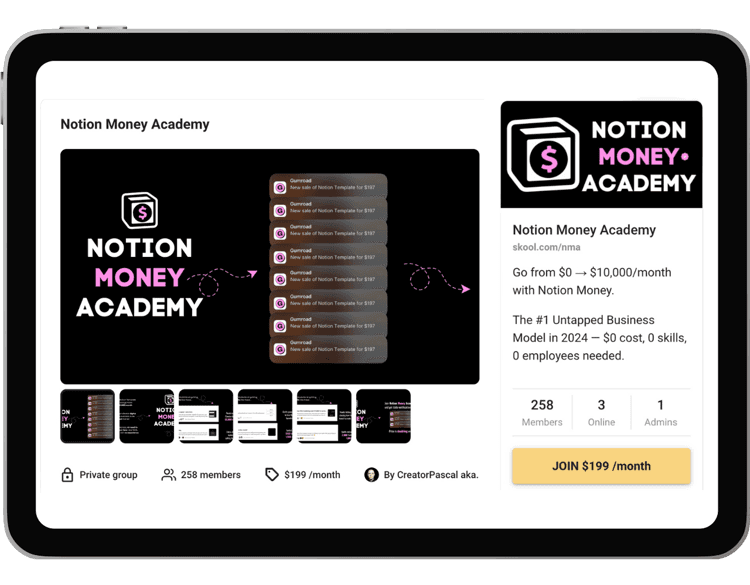 Notion Money Academy By Pascio - Pascal K - Free Download Course