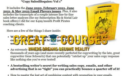 Copy Salesliloquies: Vol 1 By Ben Settle - Free Download eBook Course Book - Elbenbo