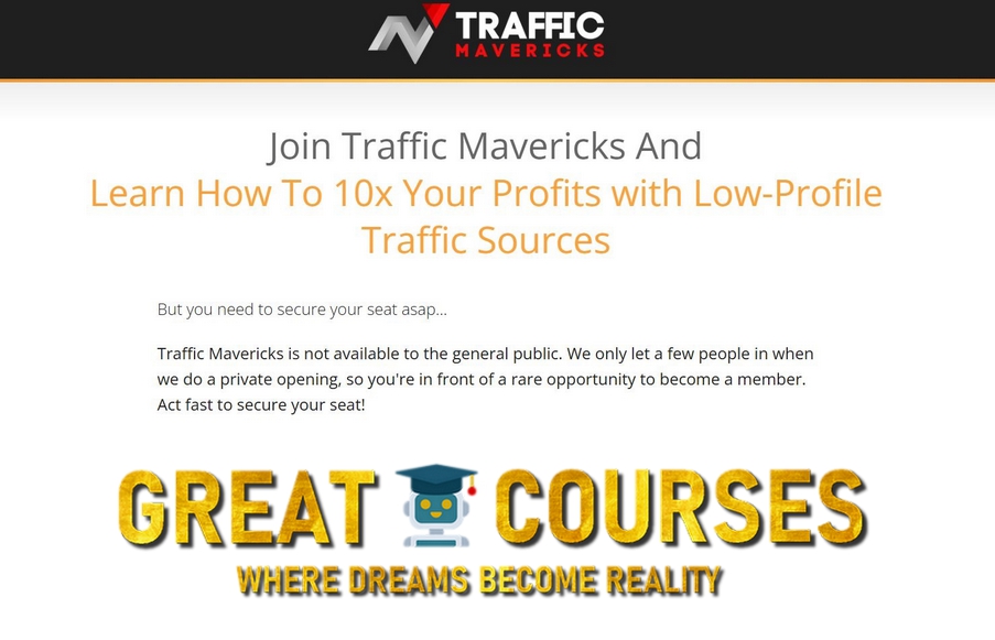 Traffic Mavericks By William Souza - Free Download Course - Make Me A Maverick
