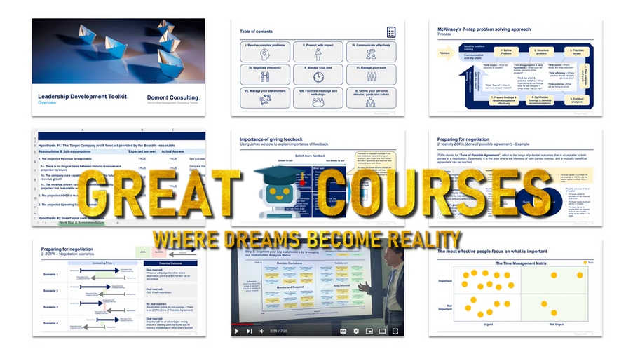 Leadership Development Toolkit By Domont Consulting - Free Download