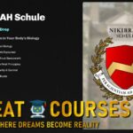 NIKIBRAH Schule - Free Download Course - Nikita Udovichenko - The God Of Hormones Coaching