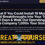 Force Multiplier By Rich Schefren - Free Download Course - Insane Leverage - Strategic Profits