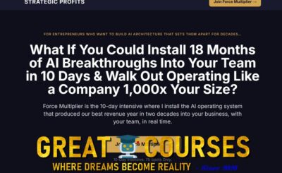 Force Multiplier By Rich Schefren - Free Download Course - Insane Leverage - Strategic Profits