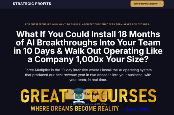 Force Multiplier By Rich Schefren - Free Download Course - Insane Leverage - Strategic Profits