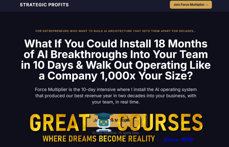 Force Multiplier By Rich Schefren - Free Download Course - Insane Leverage - Strategic Profits