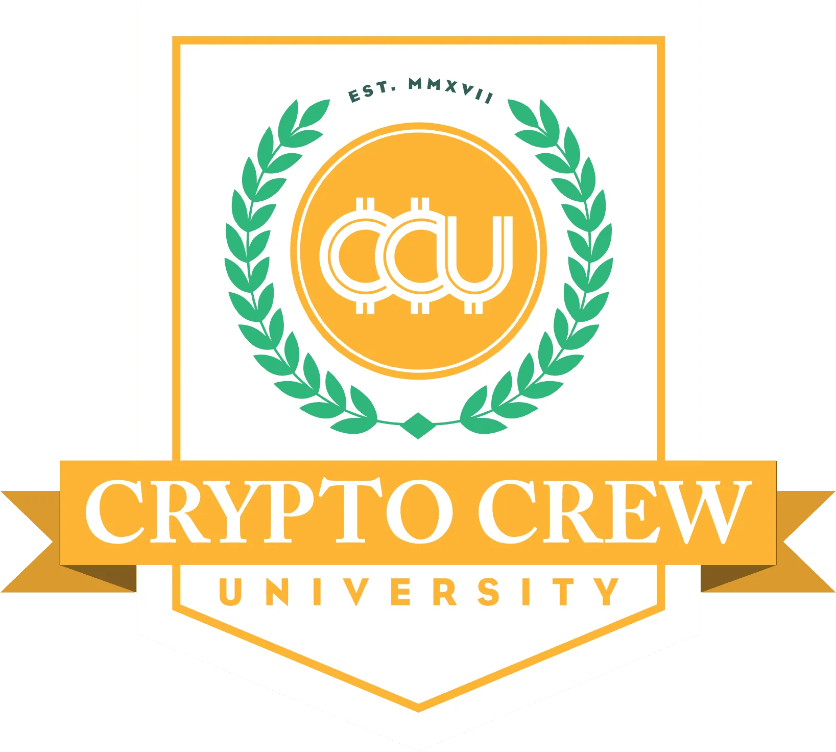 The Bitcoin Bottom Blueprint By Steve Courtney - Crypto Crew University - Free Download Course